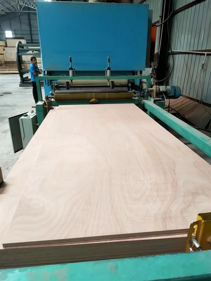 OKOUME PLYWOOD  (214)