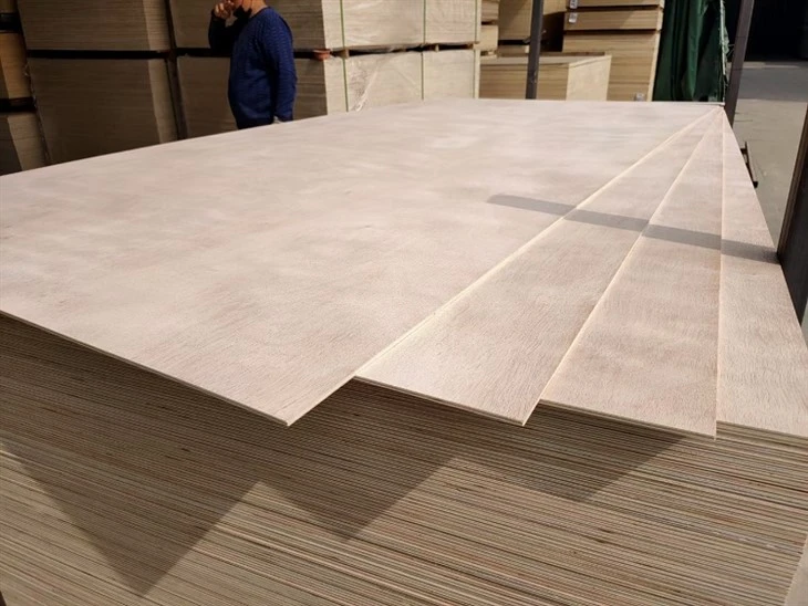 OKOUME PLYWOOD  (215)