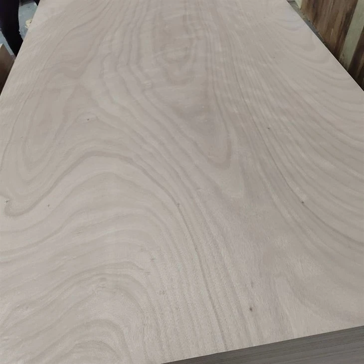 OKOUME PLYWOOD  (429)(001)