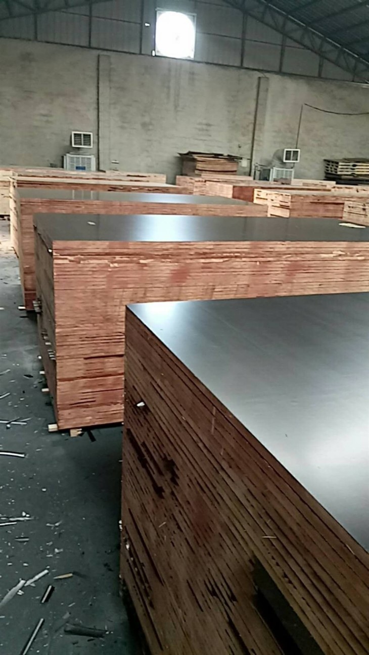 18mm Construction Film Faced Plywood