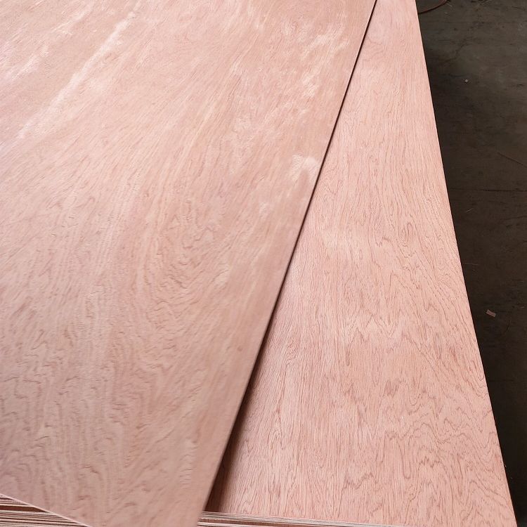 Bintangor Plywood Door Board