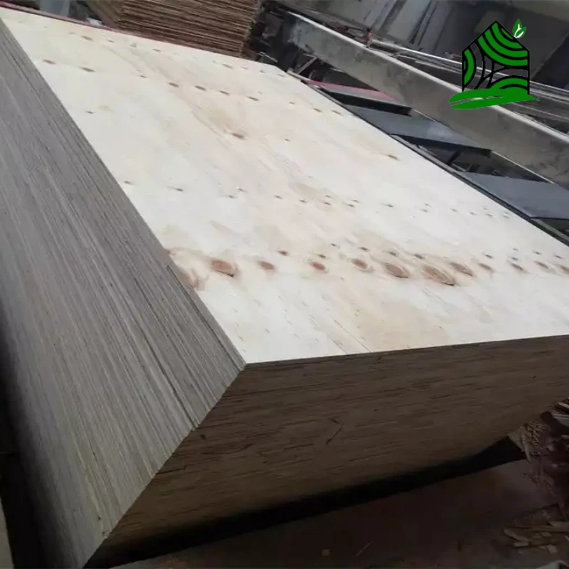 CDX Pine Constrcution Plywood