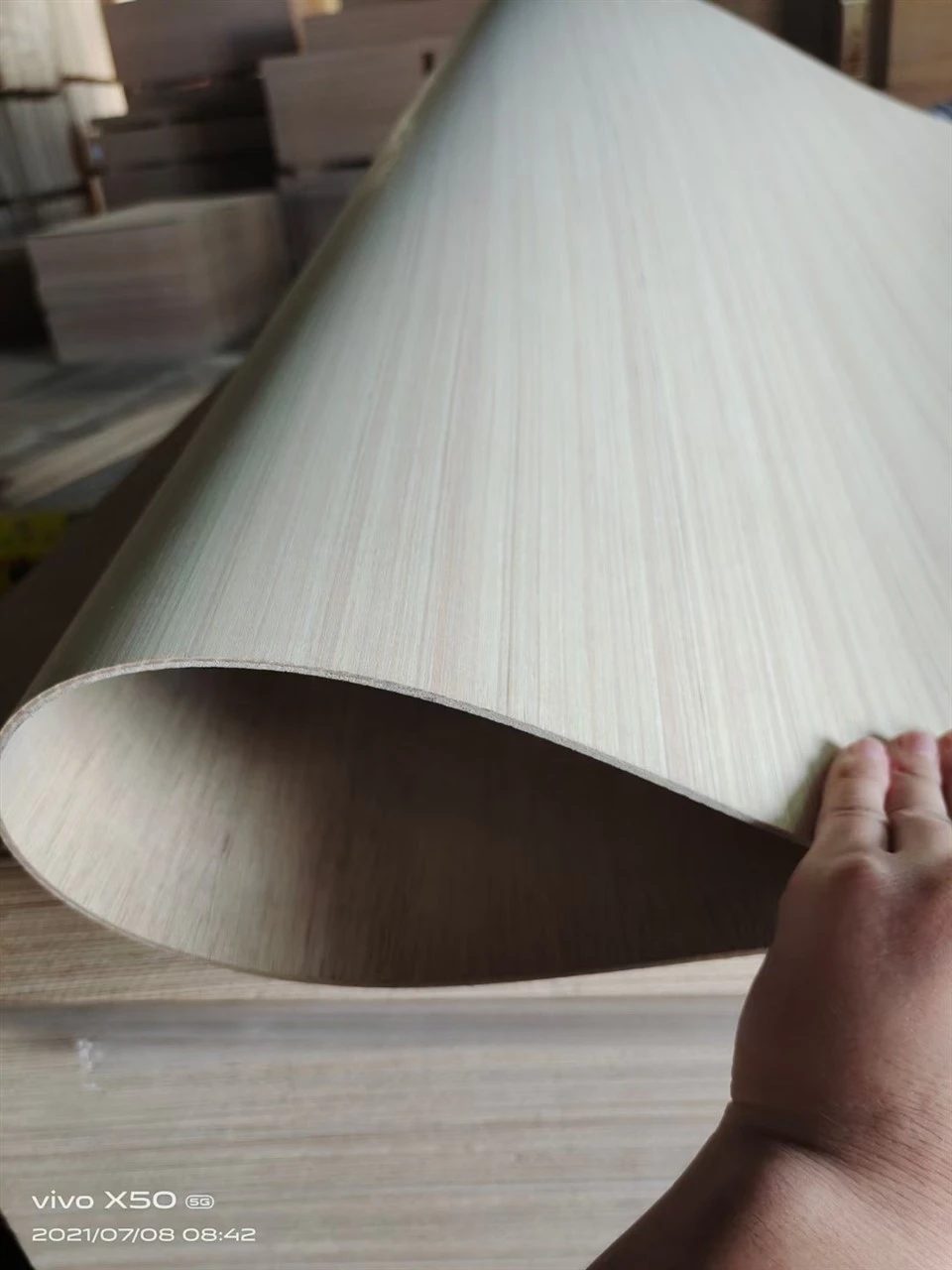 China 5mm Paulownia Bending Flexible Plywood
