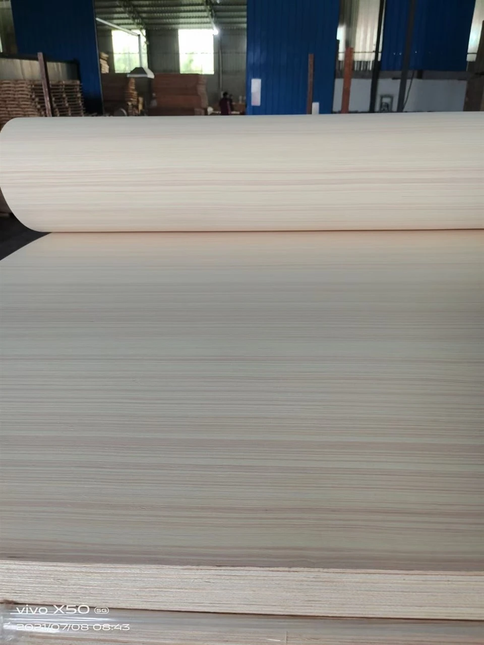China 5mm Paulownia Bending Flexible Plywood