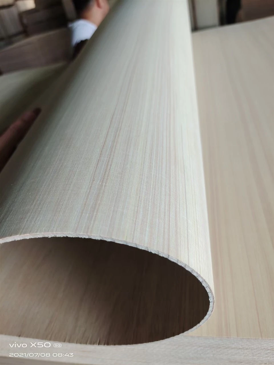 China 5mm Paulownia Bending Flexible Plywood