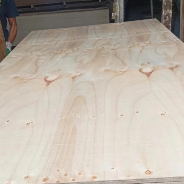 Construction Grade CDX Pine Plywood