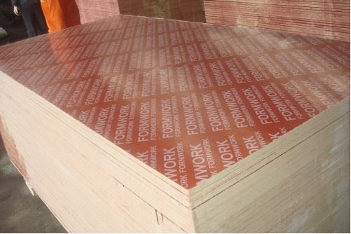 Film Faced Plywood, Container Floor Plywood