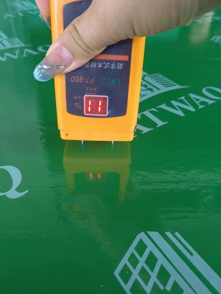 Green Plastic Shuttering Plywood For Construction Concrete Form Works