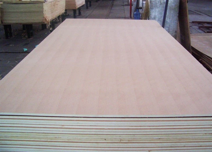 Fancy Plywood, Birch Plywood