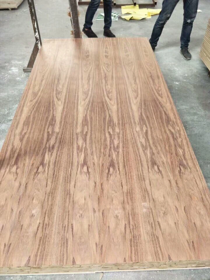 Fancy Plywood, Birch Plywood