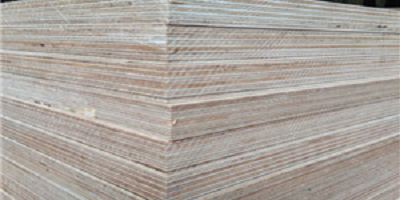 image005001 image005001