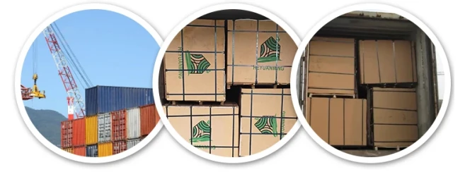 product-657-244 product-657-244