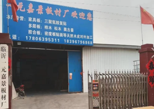 product-498-353 product-498-353