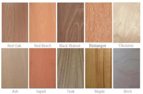 product-463-303