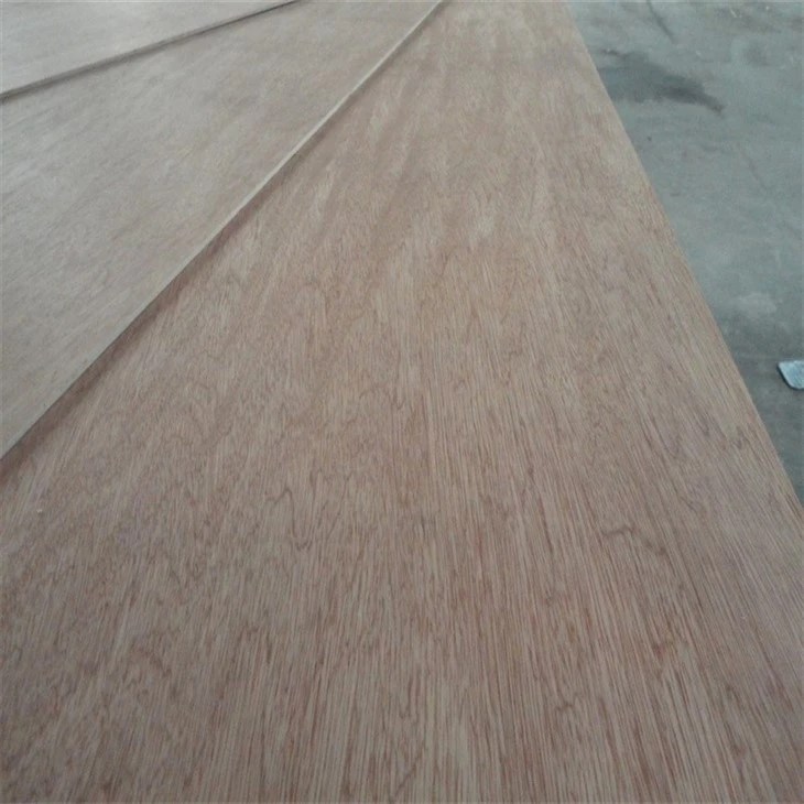 Top Cheap Price Commercial Plywood 18MM Plywood
